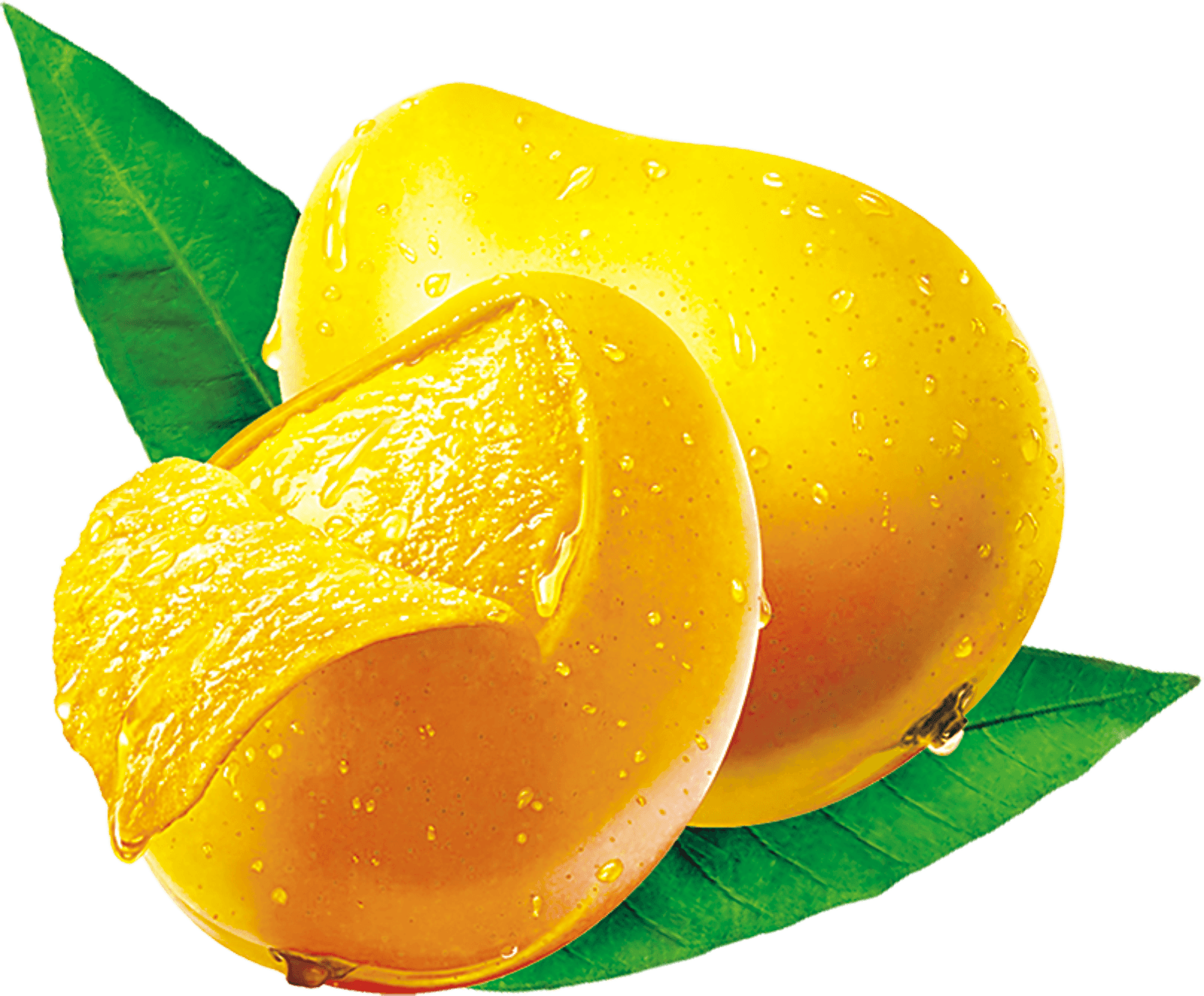 Mango – A&K Enterprises